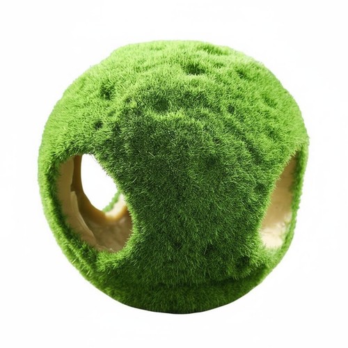 Moos totenkopf dekoration - totenkopf,