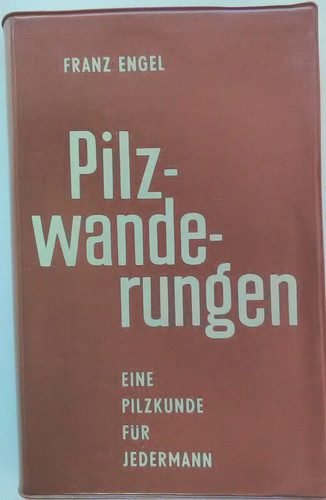 Pilzwanderungen pilzkunde - pilzwanderungen,