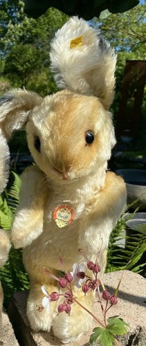 Original steiff osterhase - original,