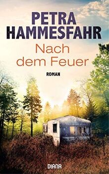 Nach dem feuer - dem, roman