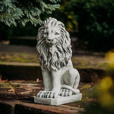 Löwe Blickrichtung links