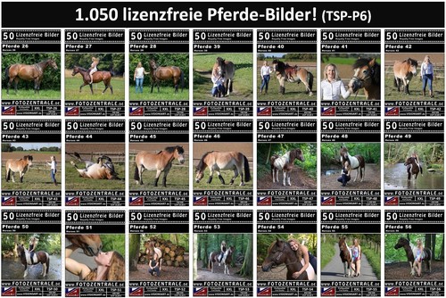 050 lizenzfreie profi bilder - 1.050,