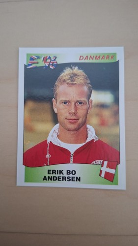 Panini euro 1996 erik - panini, em
