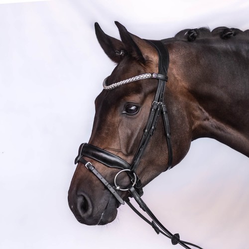 Trense charm englischer - trense,