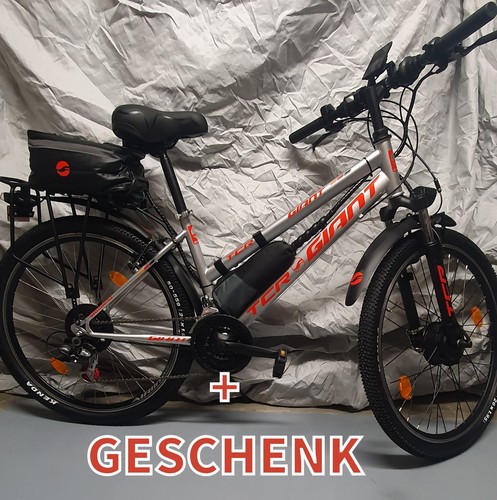 Elbike giant - elbike,