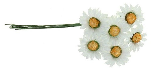 Margeriten bund 12cm kleine - 12cm,