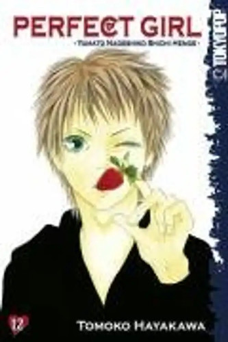 Perfect girl yamato nadeshiko - yamato,