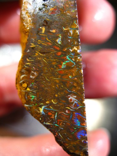 287 cts australien - 287, koroit