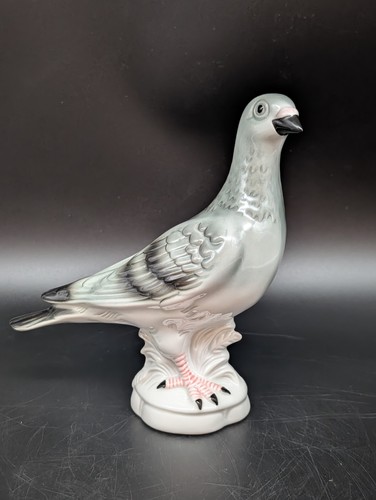 Gräfenthal taube vogel - gräfenthal,