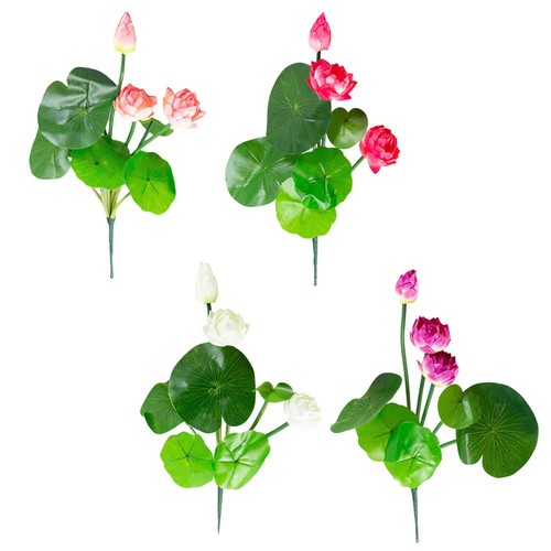 Kleine lotusblüte - kleine,