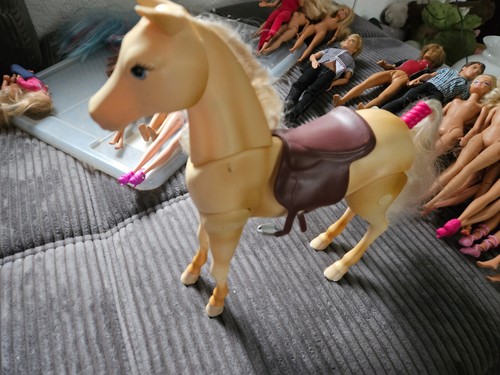 Barbie pferde - barbie,