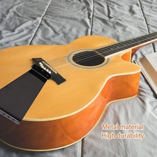 Guitar -Miegelresonator