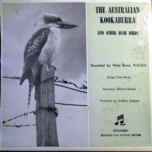 Peter bruce the australian - peter,