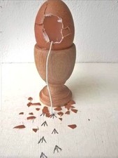 10 Stück Wende-Eier