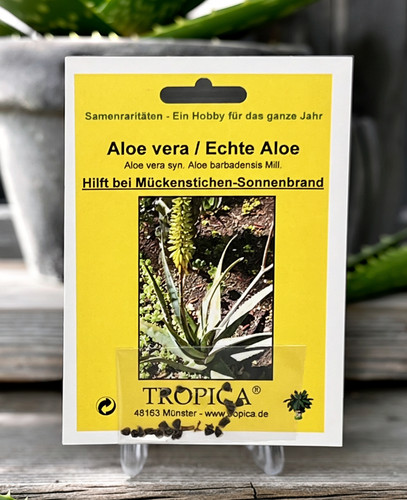 Aloe vera samen echte - samen,