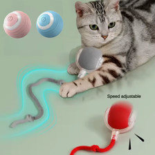 Neue Elektrische Katze Ball