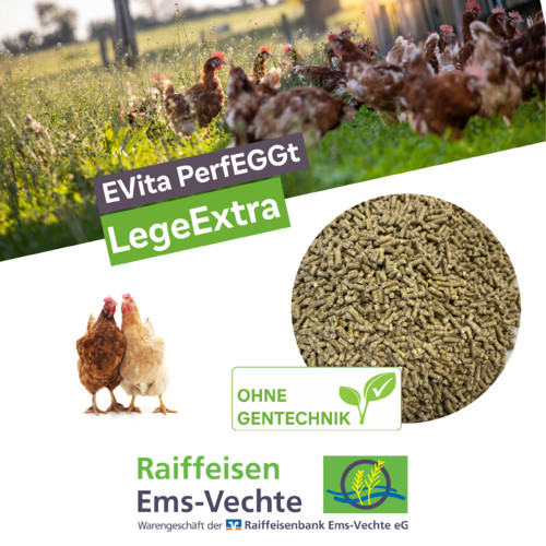 Ergänzungsfuttermittel für