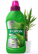 Dünger Für Yucca Palmen