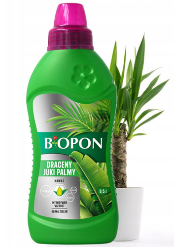 Dünger für yucca - für,