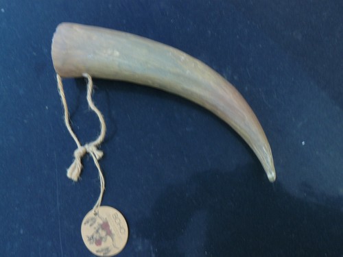 Rinder horn nachbau braun - rinder,