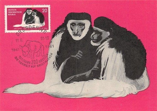 871429 ddr maximumkarte - ddr,