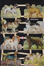 # GLANZBILDER # EF 7397, 8