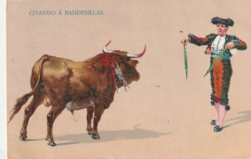 Stierkampf spanien - ,