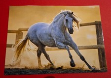 Postkarte Fankarte Pferd