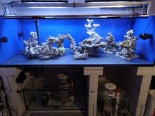 Gebrauchtes Aquarium 2mx80cm