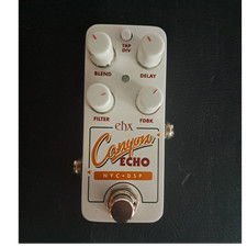 Electro-Harmonix Canyon Echo