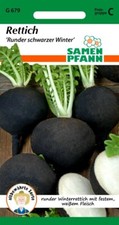 Rettich - Runder schwarzer