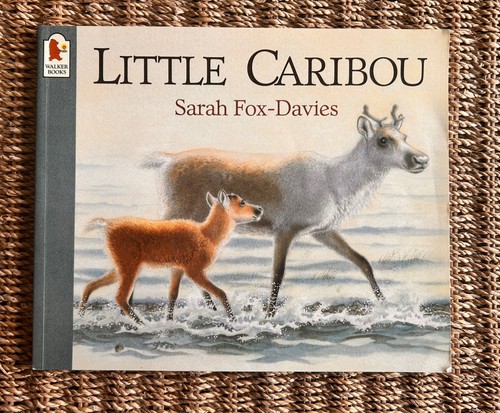 Little caribou fox - caribou,