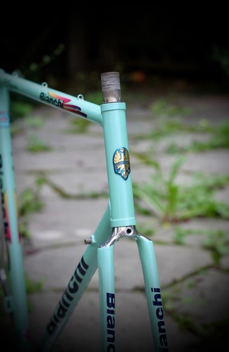 Bianchi specialissima frame - specialissima,