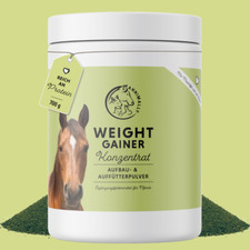 Weight gainer konzentrat - gainer,