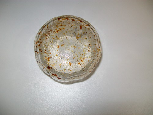Lampenabdeckung backofen glas - backofen,
