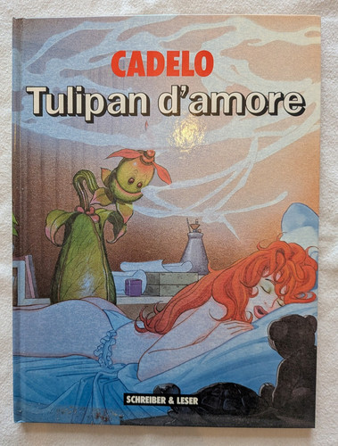 Tulipan amore silvio - tulipan,