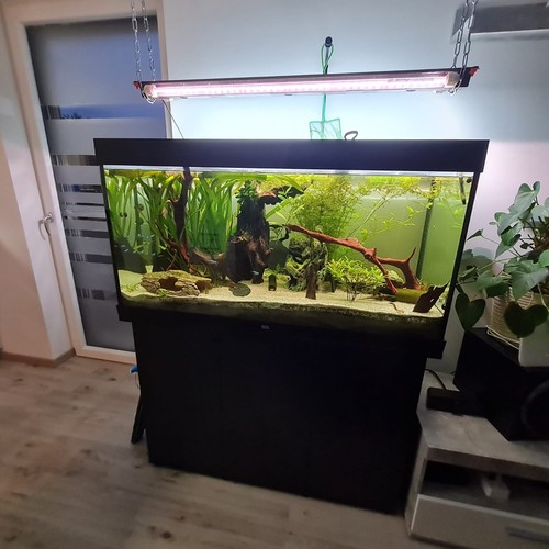 Aquarium mit unterschrank - aquarium,