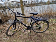 Pegasus Solero SL7 Herren schwarz . 2023