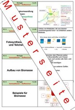 selbst erstellte Lernkartei 65