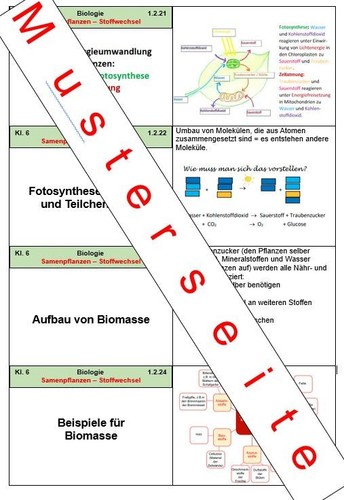 Selbst erstellte lernkartei - erstellte,