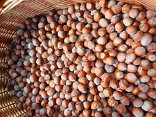 Natürliche Haselnüsse mit