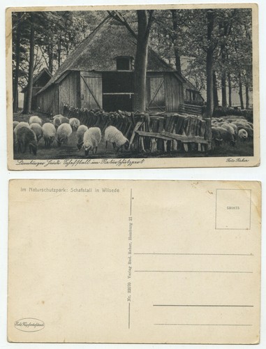 15430 wilsede schafstall - 15430,