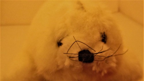Robbe seehund kuscheltier - robbe, seehund,