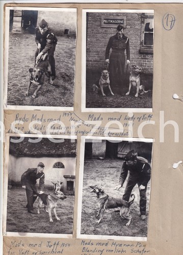 Original fotos militär - original,