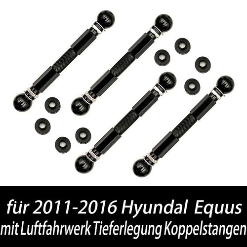 Für 2010 2016 - für, equus