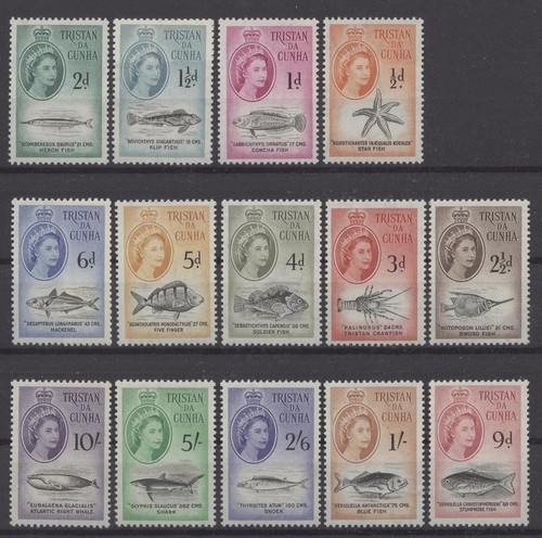 Meerestiere tristan da cunha - -,
