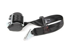 Sicherheitsgurt hinten links