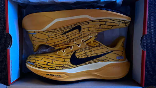 Nike air zoom pegasus lv8 - air, 41