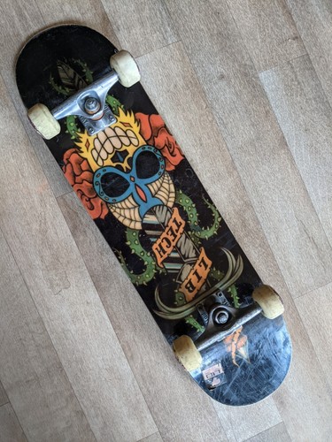 Lib tech skateboard - tech,