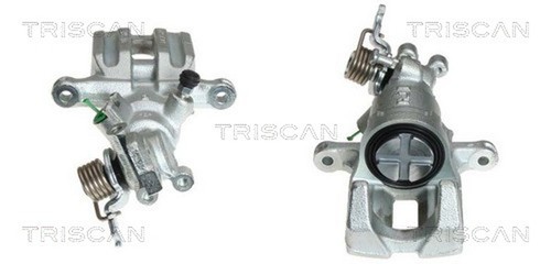 Triscan bremssattel 8170 - bremssattel,